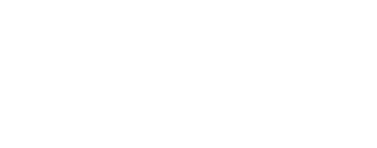 Ruby-W